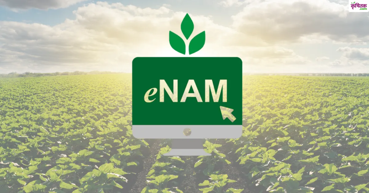 E-nam portal