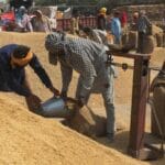Paddy Procurement