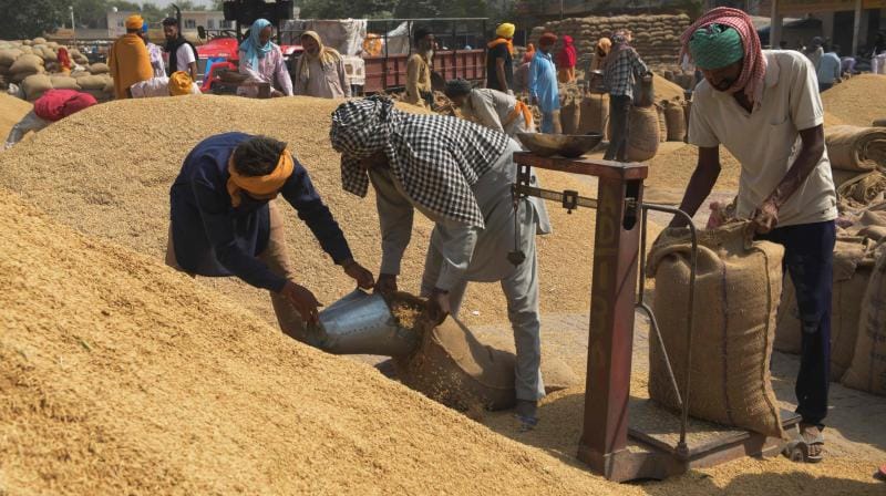 Paddy Procurement