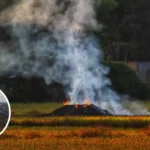Parali Burning