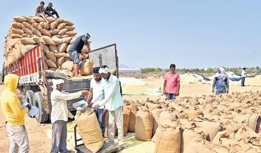 Paddy Procurement
