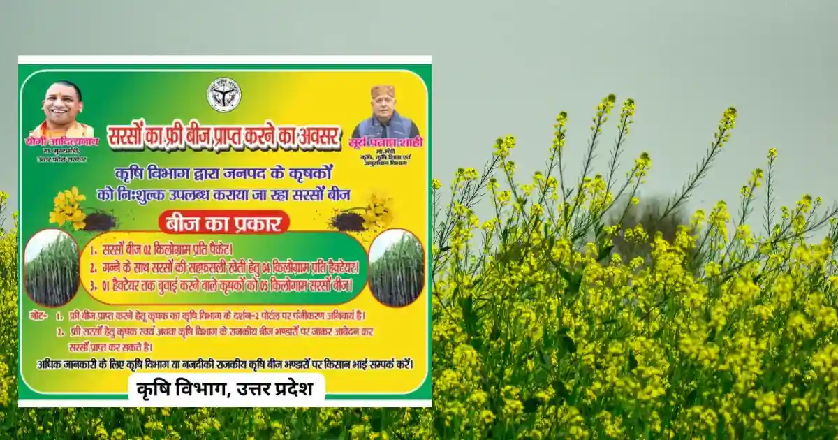 Sarson Minikit Yojana