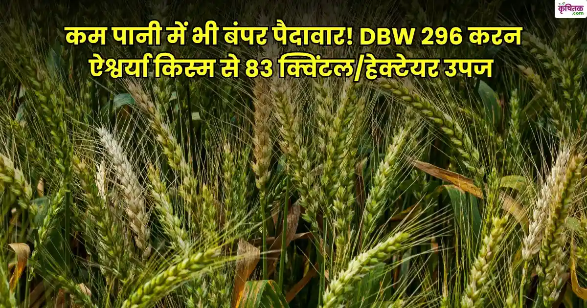 DBW 296 करन ऐश्वर्या