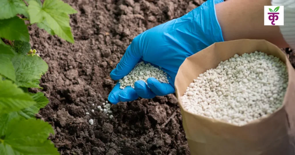 difference-between-dap-tsp-ssp-npk-fertilizers