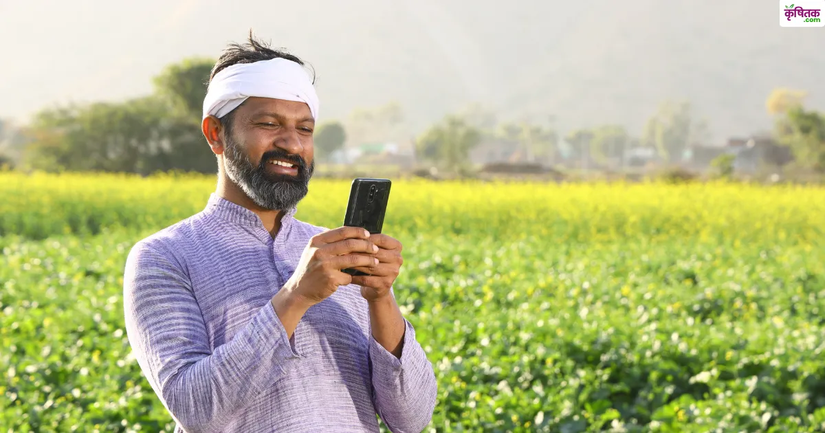 हरियाणा में रबी फसल रजिस्ट्रेशन शुरू, मेरी फसल-मेरा ब्योरा पोर्टल पर करें आवेदन