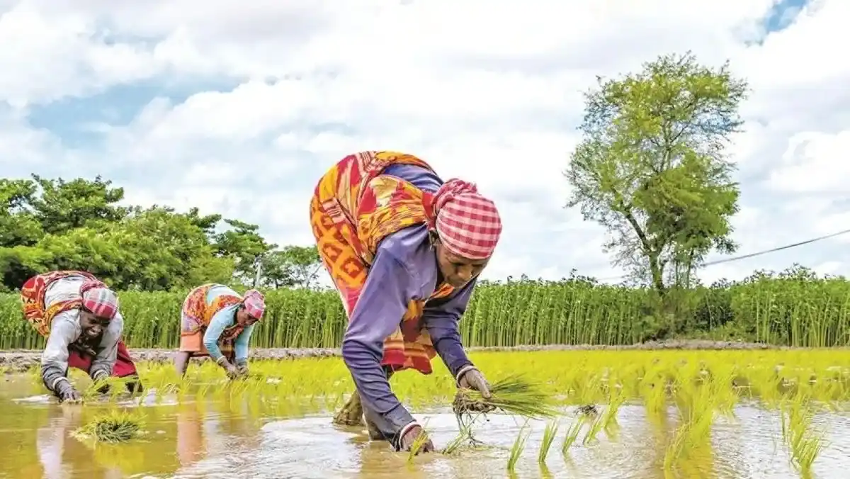 kharif sowing