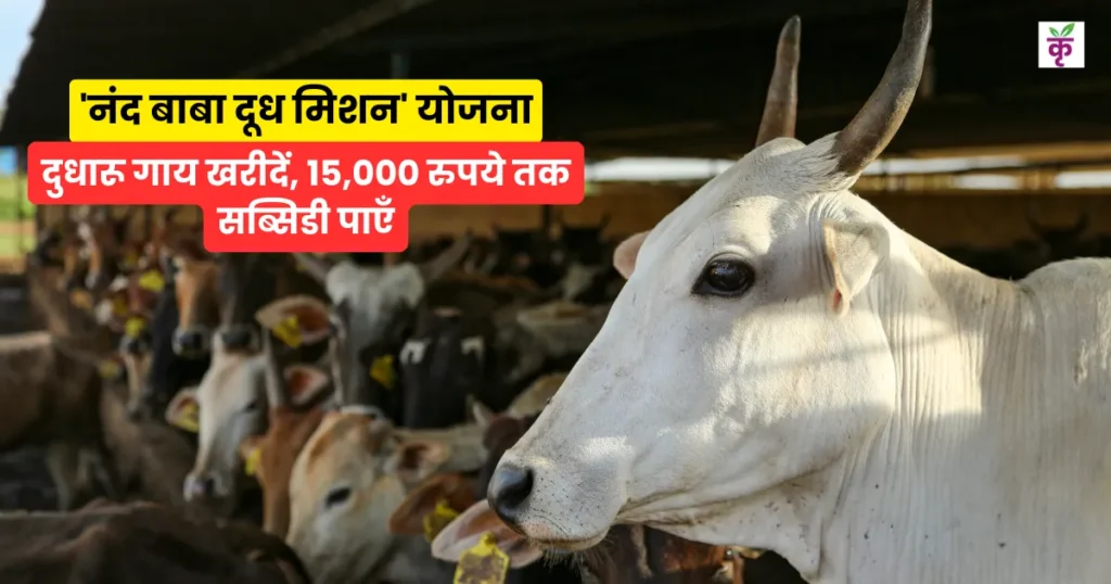 नंद बाबा दूध मिशन