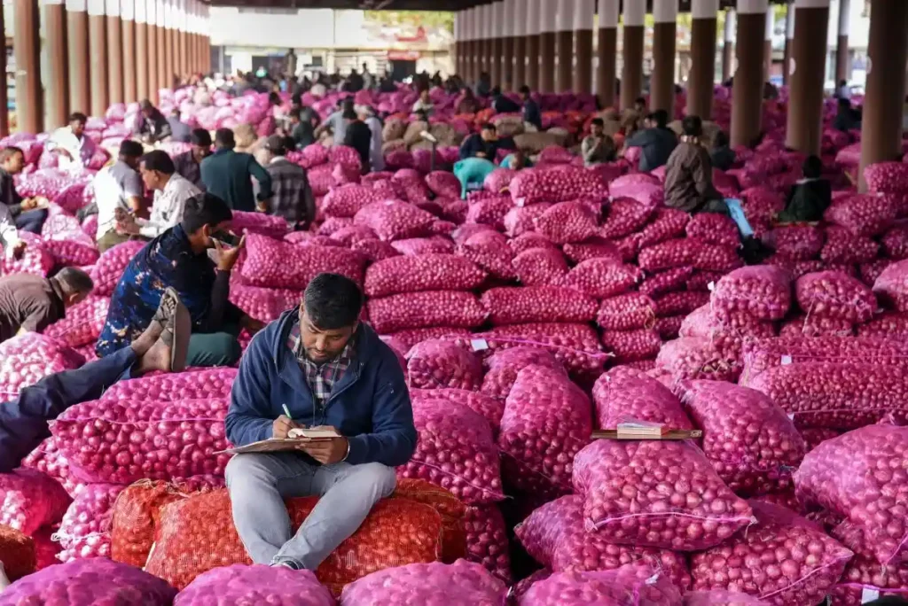 Onion Price: अलवर के प्याज किसानों की मुश्किलें बढ़ीं! दाम गिरे ₹600 क्विंटल तक, नहीं निकल रही लागत