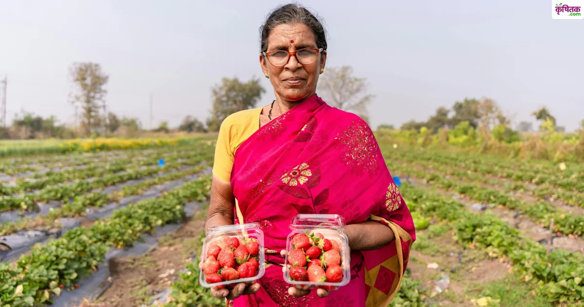 organic farming