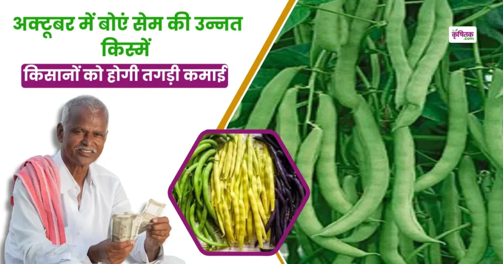 sem farming in october