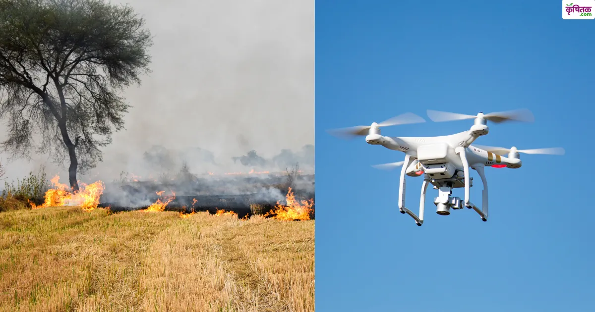 UP में पराली जलाने वालों पर चलेगा एक्शन, सभी DM को डिजिटल सर्वे के आदेश, ड्रोन से होगी निगरानी