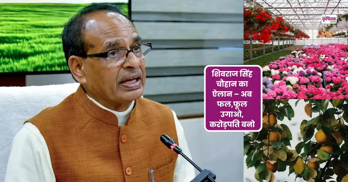 Farmer Income Increase Scheme