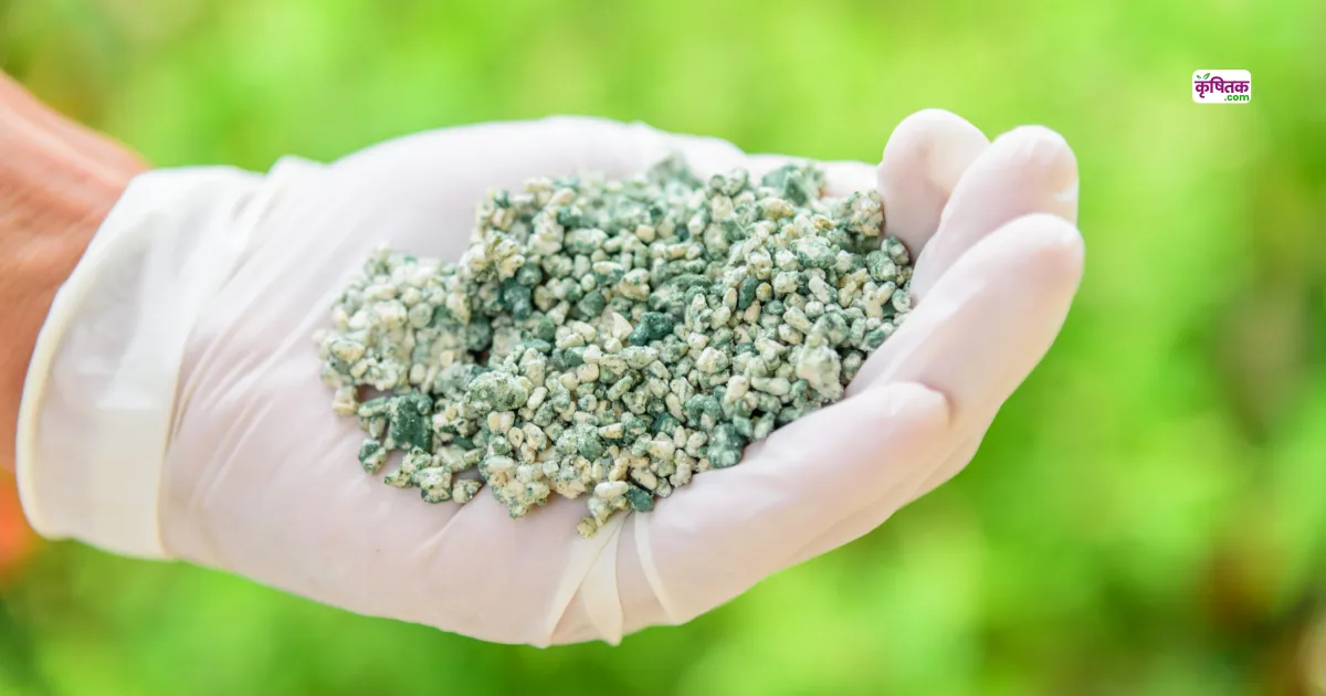 Ghar Par Trichoderma Banana