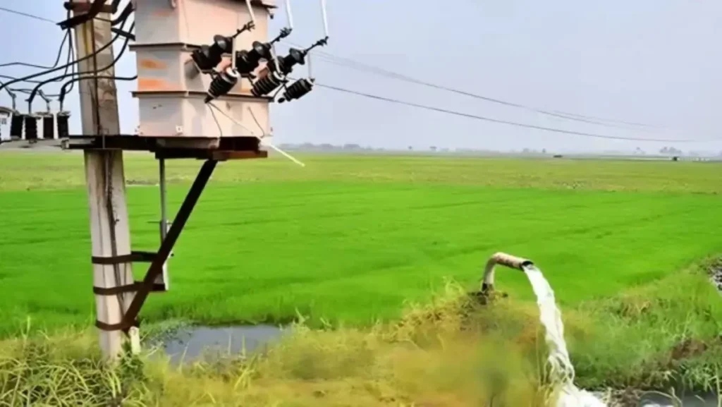 सरकार का बड़ा फैसला, किसानों को 6 महीने की बिजली बिल माफी, जानें कैसे मिलेगा लाभ