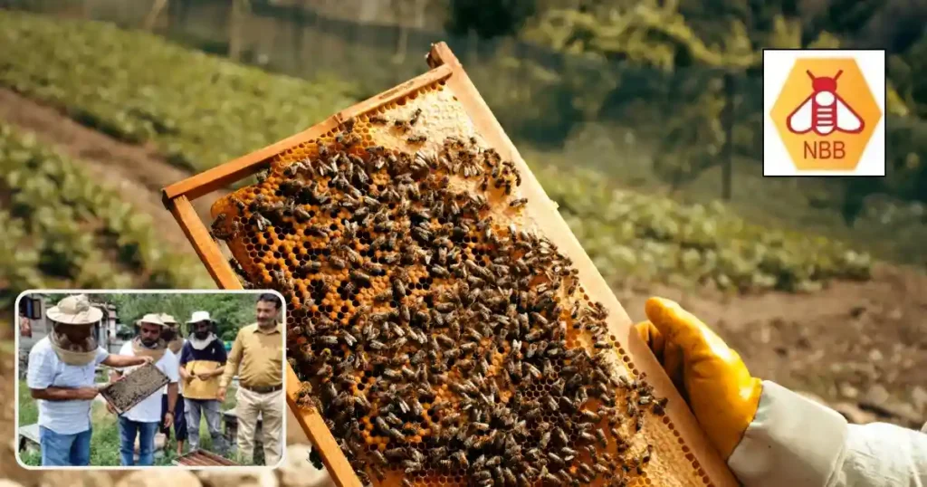 National Beekeeping and Honey Mission