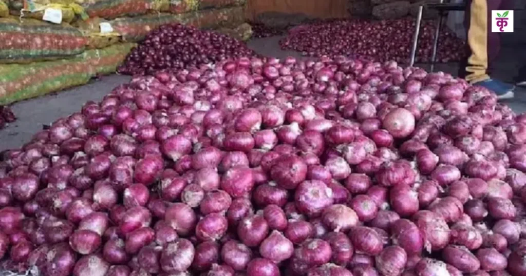 Onion Price