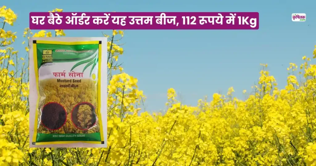 PM 30 Mustard Variety