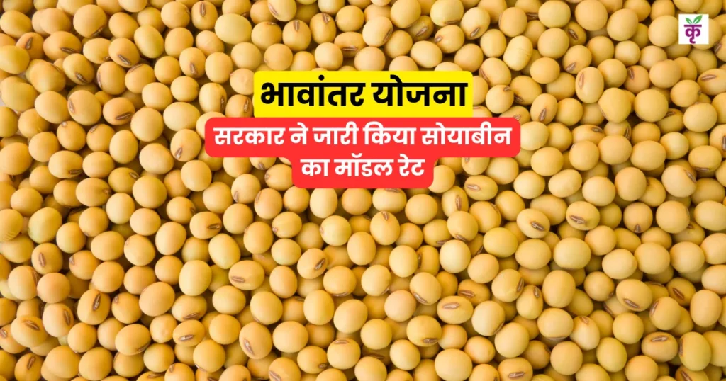 10 नवंबर को सोयाबीन का नया मॉडल रेट जारी, जानें आज का ताजा सरकारी भाव