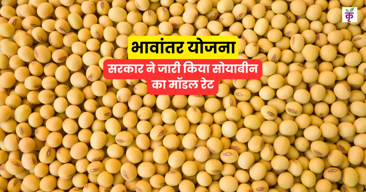 10 नवंबर को सोयाबीन का नया मॉडल रेट जारी, जानें आज का ताजा सरकारी भाव