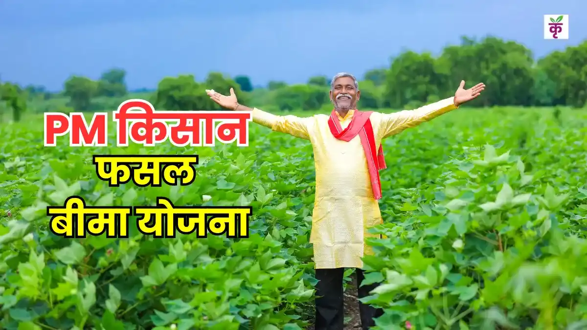 crop-insurance-new-rules-animal-damage-paddy