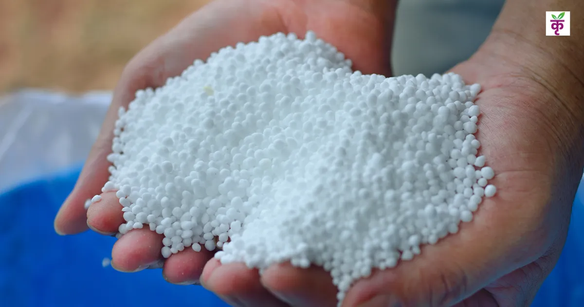 खाद की कालाबाजारी पर केंद्र की सख्ती, 3 लाख से ज्यादा छापे, हजारों लाइसेंस रद्द