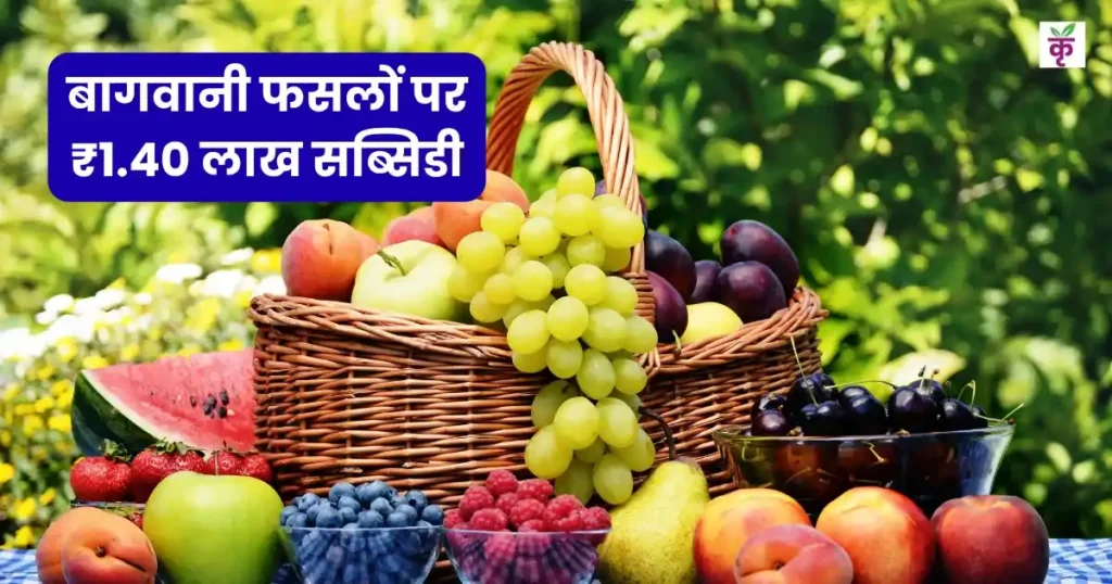 हरियाणा सरकार दे रही है बागवानी फसलों पर ₹1.40 लाख सब्सिडी, जानें आवेदन प्रक्रिया