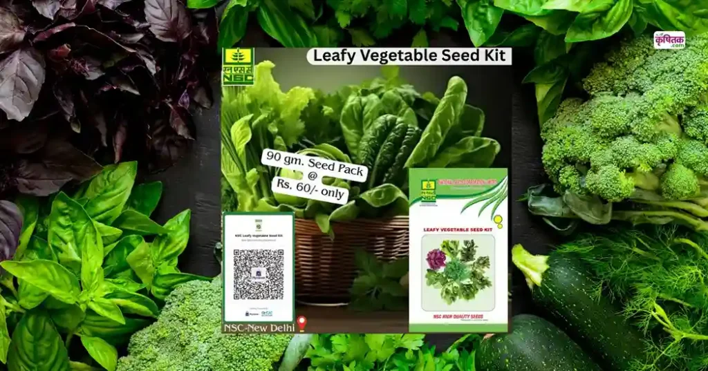 leafy Vegetable Seed Kit
