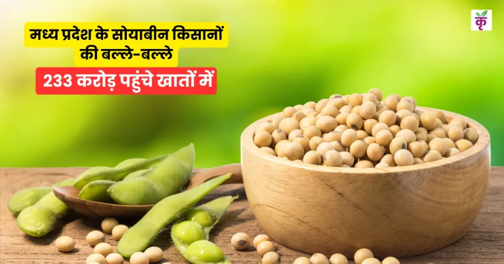 Bhavantar Yojna: मध्य प्रदेश के सोयाबीन किसानों की बल्ले-बल्ले, भावांतर योजना से 233 करोड़ पहुंचे खातों में! 1.33 लाख अन्नदाताओं को मिला MSP का पूरा फायदा
