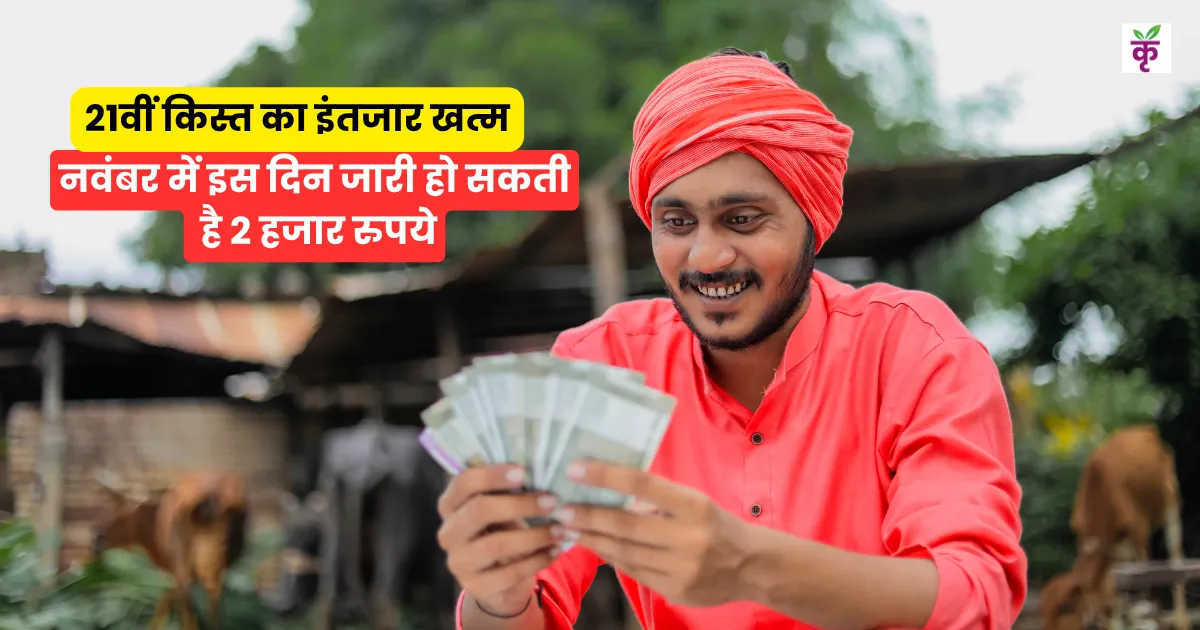 PM KISAN YOJANA: 21वीं किस्त का इंतजार खत्म, नवंबर में जारी हो सकती है 2 हजार रुपये, लेकिन इन किसानों को नहीं मिलेगा लाभ