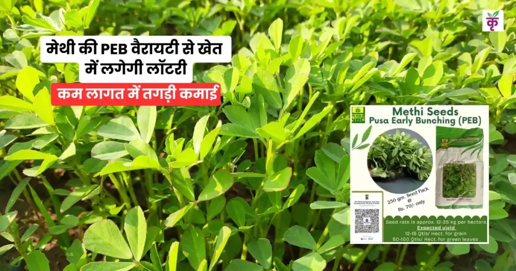 PEB वैरायटी