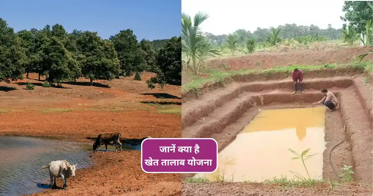 Khet Talab Yojana UP