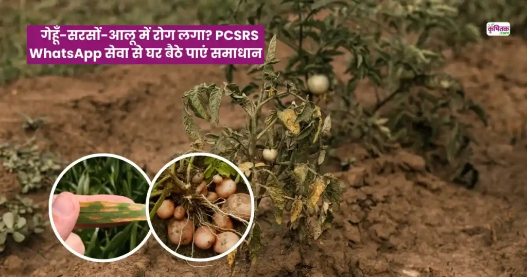 PCSRS WhatsApp Crop Disease Diagnosis