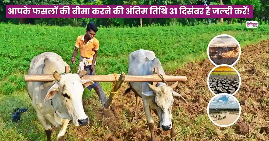 Pradhan Mantri Fasal Bima Yojana