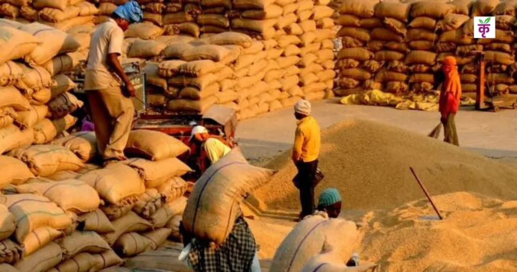 UP Paddy Procurement