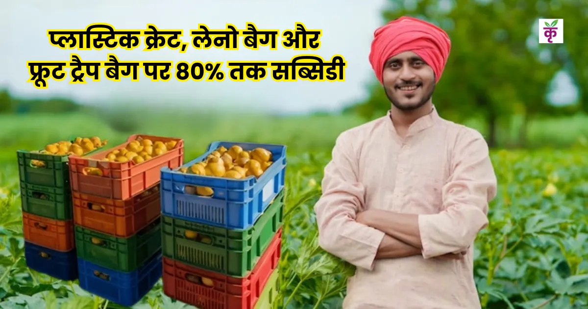 बागवानी किसानों के लिए बड़ी राहत: प्लास्टिक क्रेट, लेनो बैग और फ्रूट ट्रैप बैग पर 80% तक सब्सिडी आज ही आवेदन करें!
