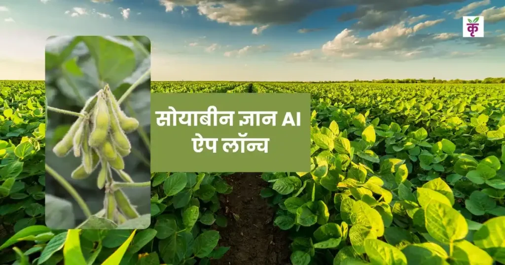 किसानों के लिए लॉन्च हुआ ‘सोयाबीन ज्ञान’ AI ऐप, फसल से जुड़े हर सवाल का तुरंत मिलेगा जवाब