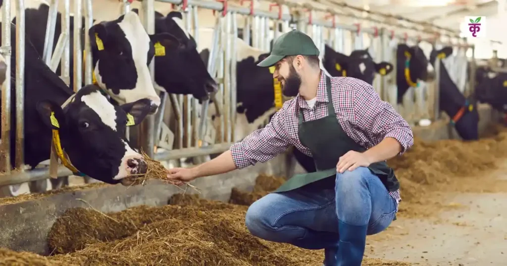 सर्दियों में पशुओं को खिलाएं ये पोष्‍टिक आहार! ताकत बढ़ेगी, बीमारियां रहेंगी दूर और दूध का उत्पादन होगा दोगुना