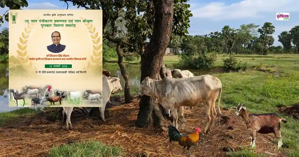 ICAR Animal Breed Award