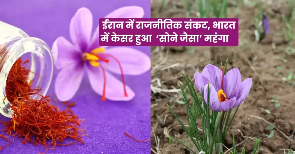 Iran sankat Aur Saffron Price