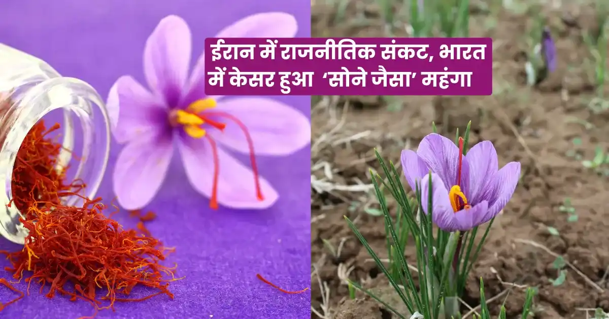 Iran sankat Aur Saffron Price