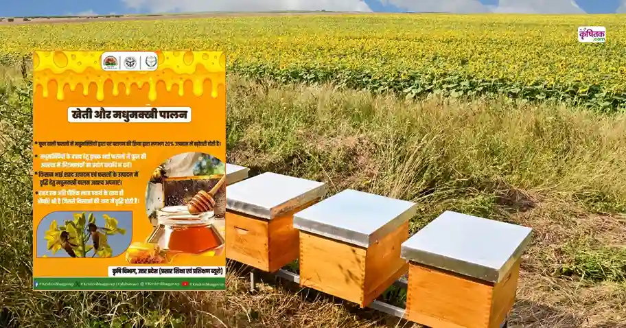 Kheti Aur Madhumakkhi Palan