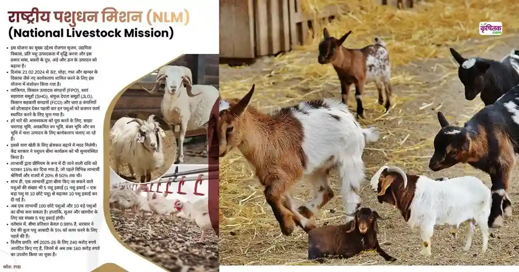 National Livestock Mission