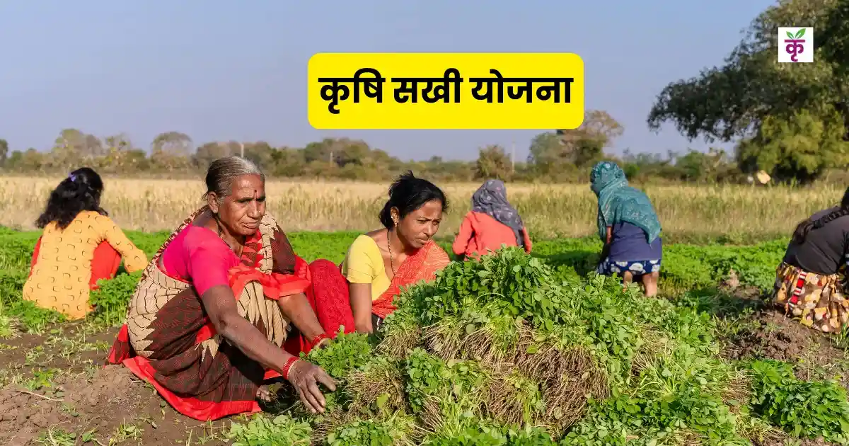 यूपी में गांव-गांव पहुंचेगी मॉडर्न फार्मिंग! 26 हजार कृषि सखियां बदल रहीं खेती की तस्वीर